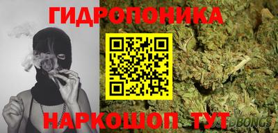 дмт Канаш