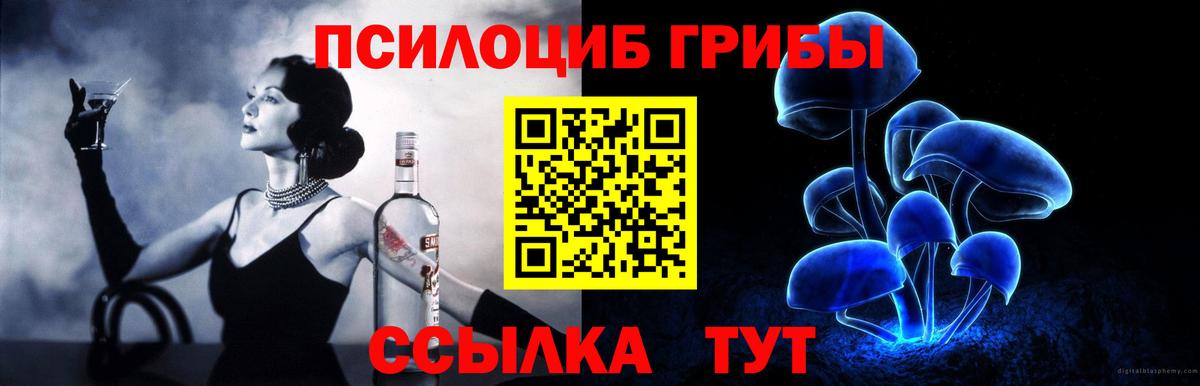 Псилоцибиновые грибы Cubensis  как найти закладки  Красноярск  Вход с VPN 