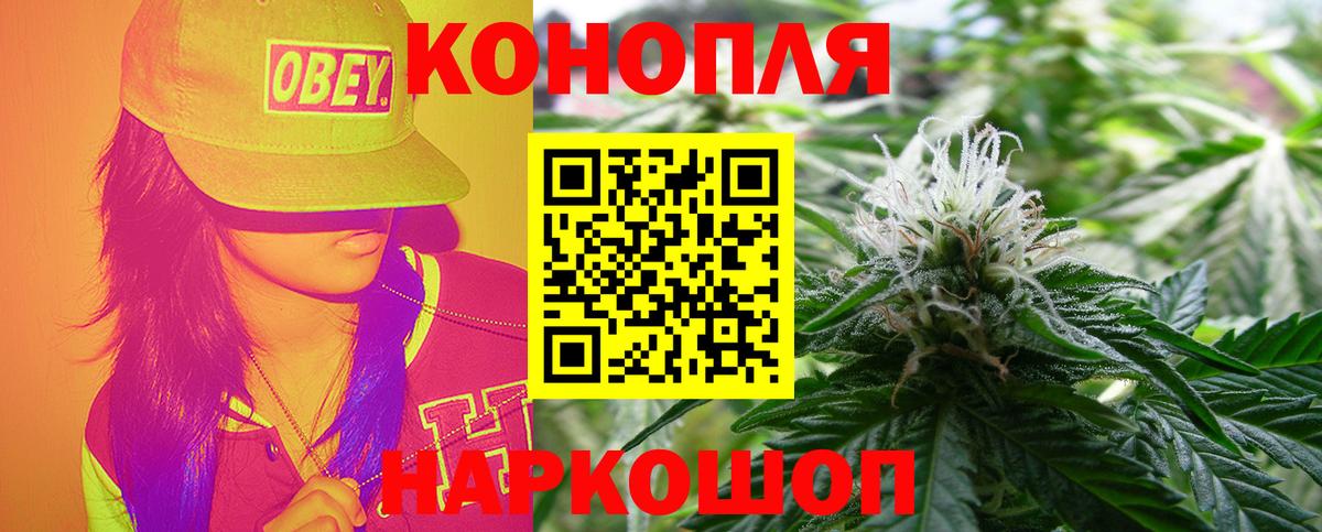 Марихуана OG Kush Красноярск